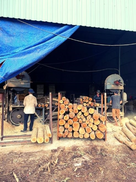Dịch vụ gia công gỗ
